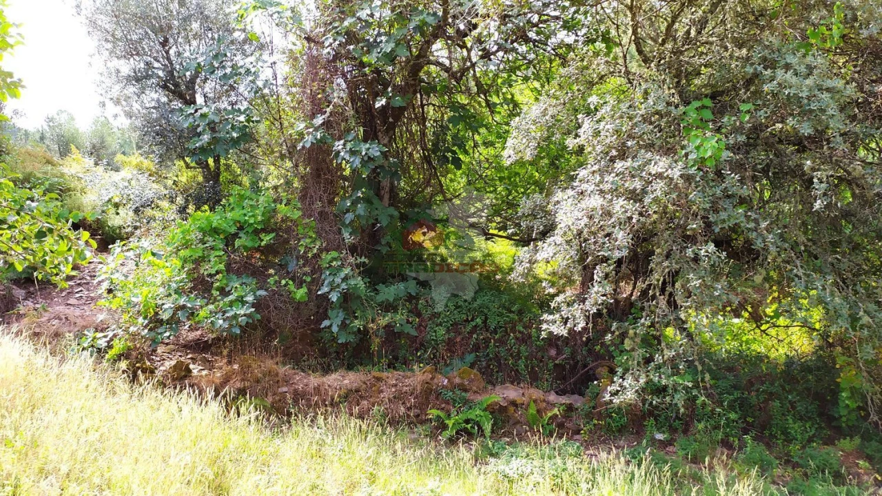 Moradia T2 para Venda em Portela do Fojo-Machio Foto 39