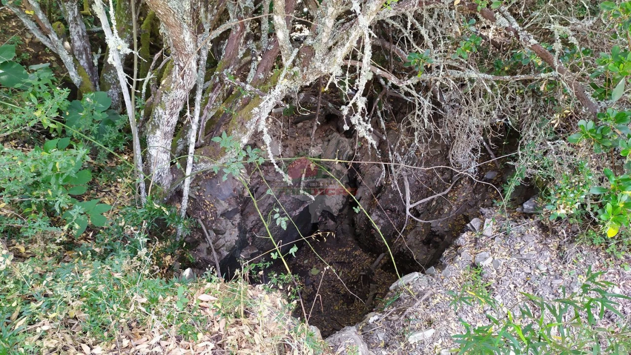 Moradia T2 para Venda em Portela do Fojo-Machio Foto 40