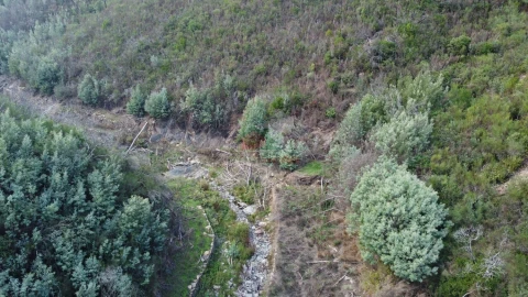 Quinta T0 para Venda em Sobral