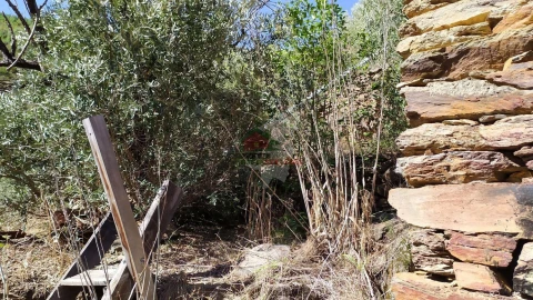 Quinta T0 para Venda em Sobral