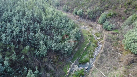 Quinta T0 para Venda em Sobral