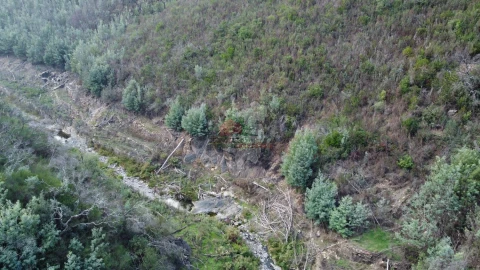 Quinta T0 para Venda em Sobral
