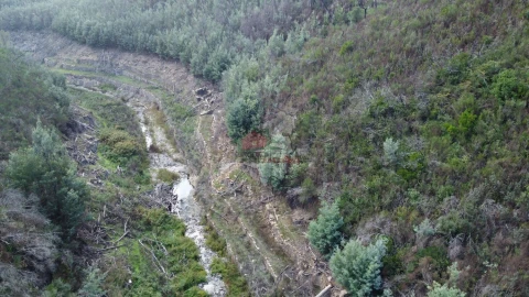 Quinta T0 para Venda em Sobral