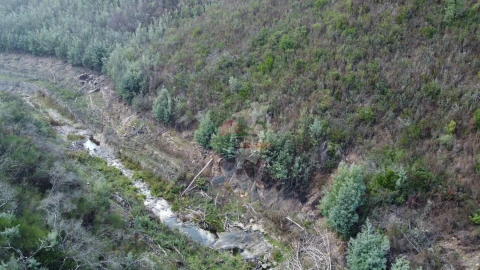 Quinta T0 para Venda em Sobral
