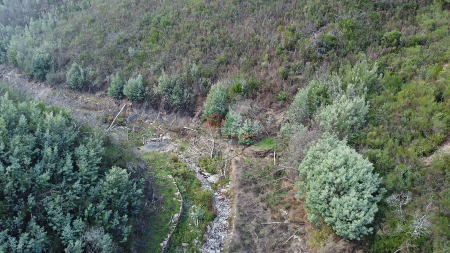 Quinta T0 para Venda em Sobral Foto 21