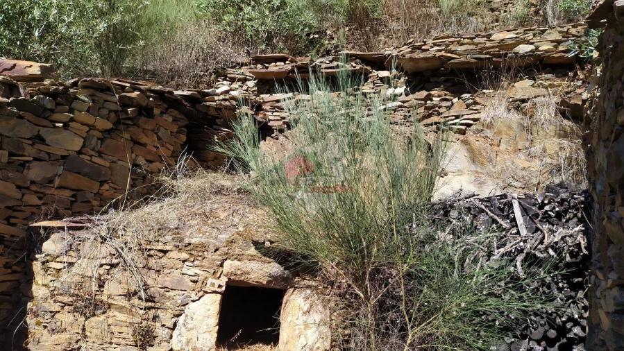 Quinta T0 para Venda em Sobral Foto 28