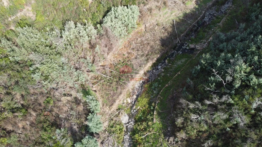 Quinta T0 para Venda em Sobral Foto 5