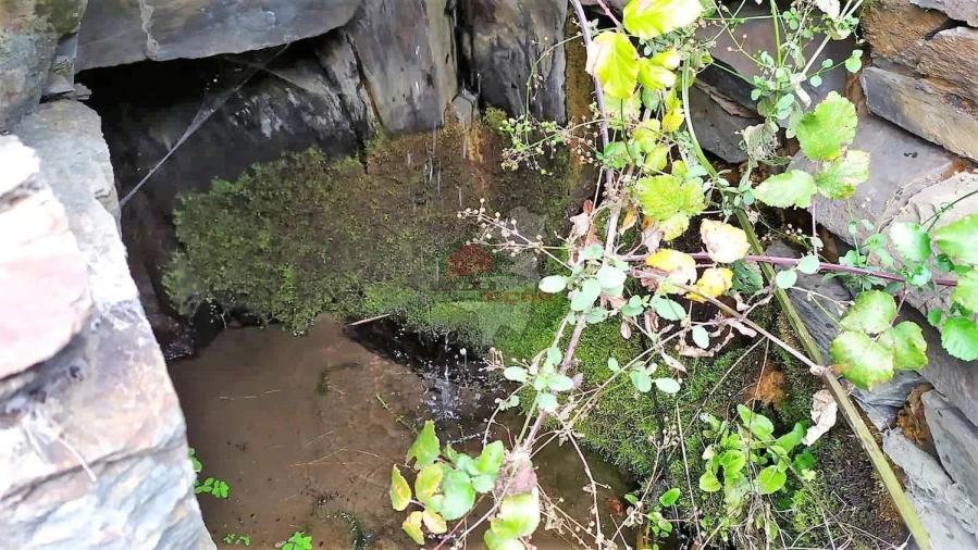 Quinta T0 para Venda em Sobral Foto 35