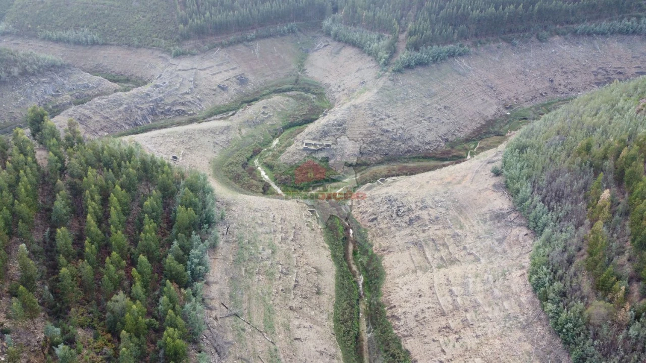 Quinta T0 para Venda em Sobral Foto 42