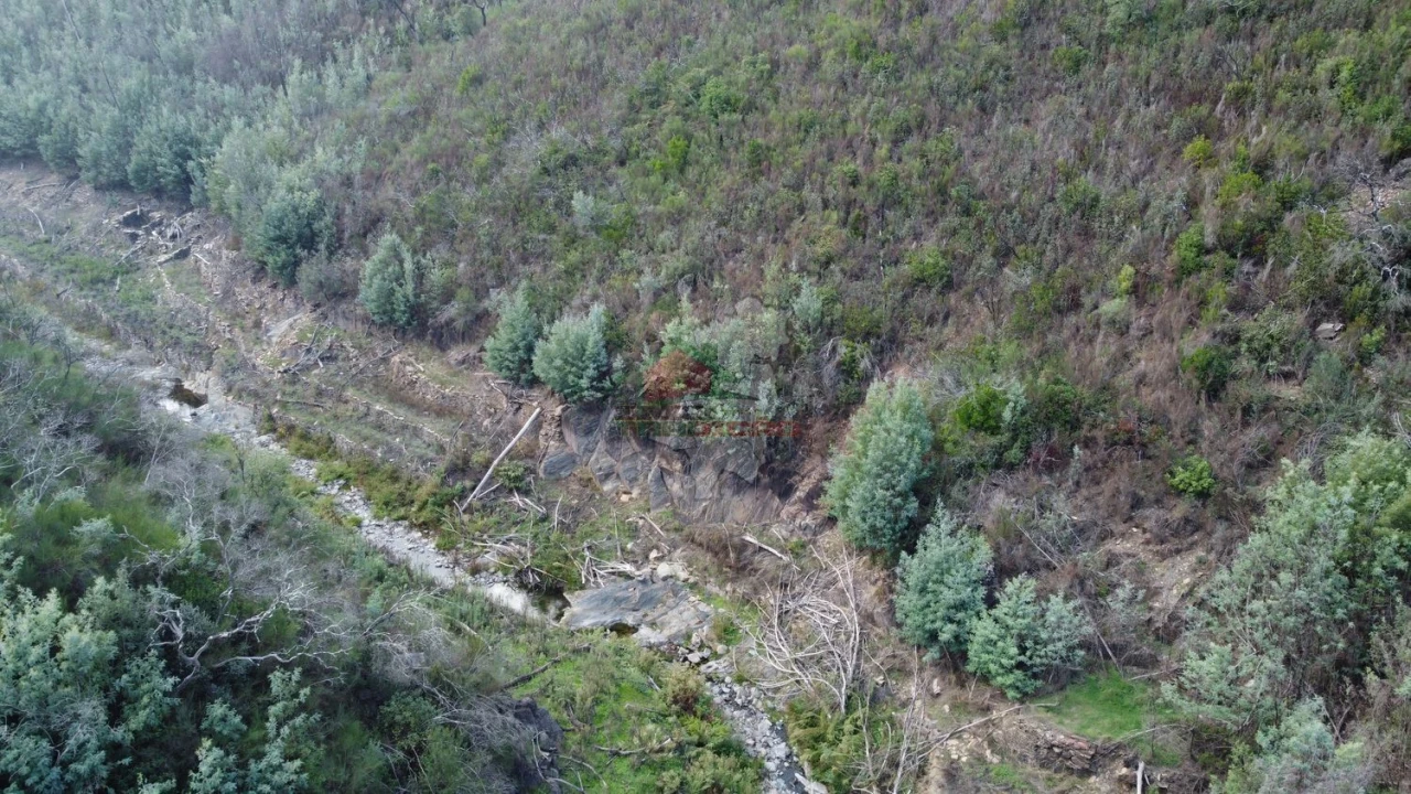 Quinta T0 para Venda em Sobral Foto 22
