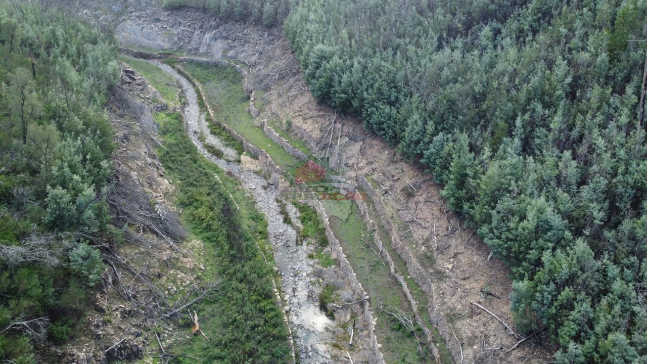 Quinta T0 para Venda em Sobral Foto 13