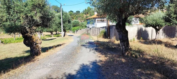 Terreno para Venda em Sertã