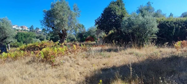 Terreno para Venda em Sertã