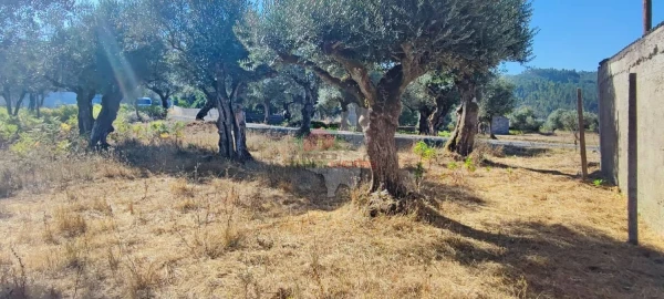 Terreno para Venda em Sertã