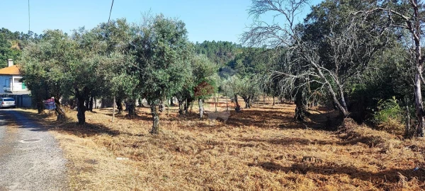 Terreno para Venda em Sertã