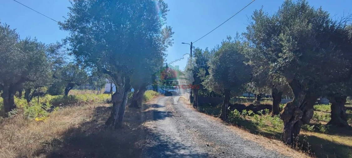 Terreno para Venda em Sertã Foto 28