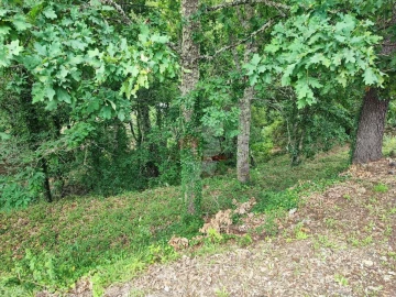 Terreno para Venda em Pedrogão Grande