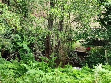 Terreno para Venda em Pedrogão Grande