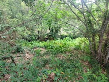Terreno para Venda em Pedrogão Grande