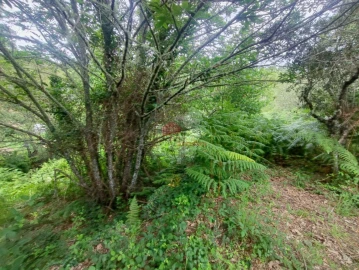 Terreno para Venda em Pedrogão Grande