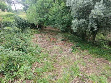 Terreno para Venda em Pedrogão Grande