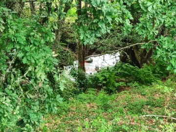Terreno para Venda em Pedrogão Grande