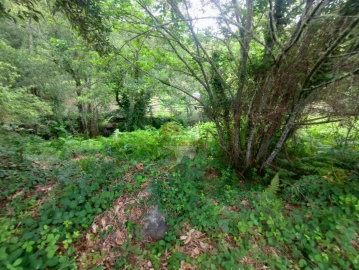 Terreno para Venda em Pedrogão Grande