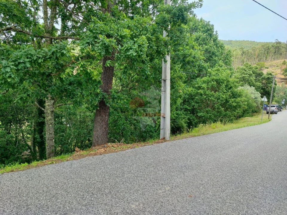 Terreno para Venda em Pedrogão Grande Foto 14