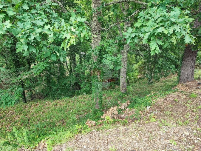 Terreno para Venda em Pedrogão Grande Foto 12
