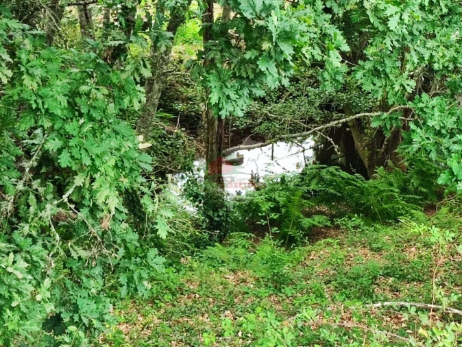 Terreno para Venda em Pedrogão Grande Foto 2