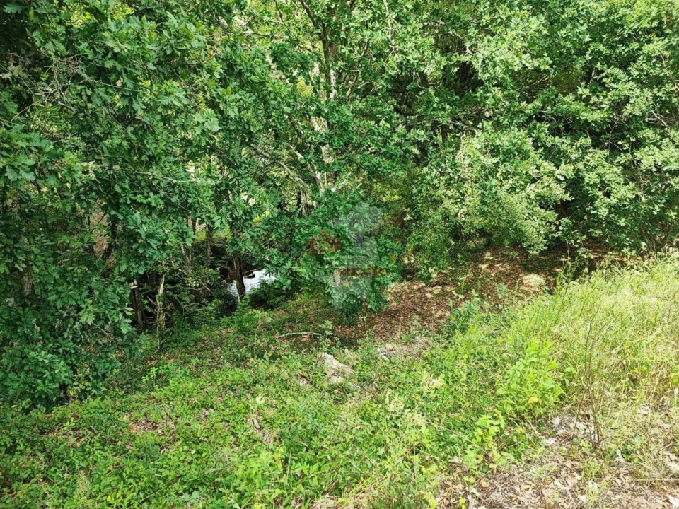 Terreno para Venda em Pedrogão Grande Foto 4