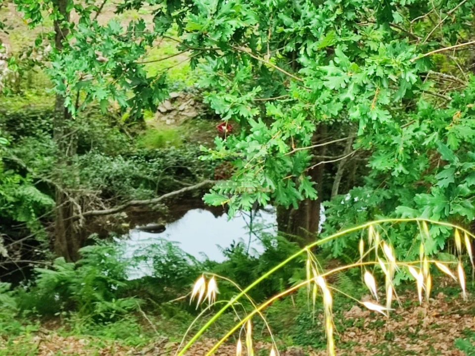 Terreno para Venda em Pedrogão Grande Foto 3
