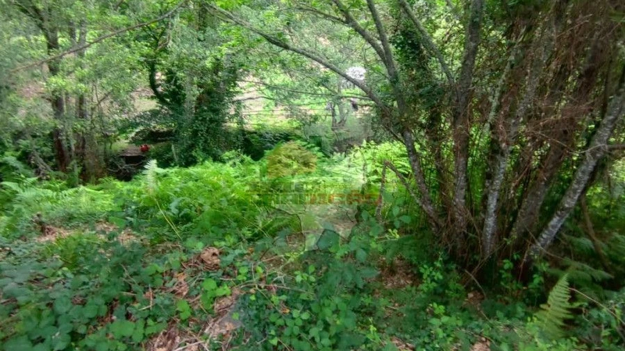 Terreno para Venda em Pedrogão Grande