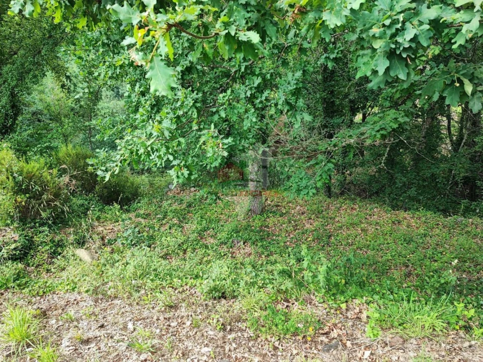 Terreno para Venda em Pedrogão Grande Foto 10