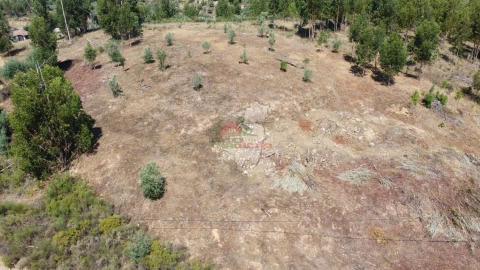 Terreno para Venda em Belver