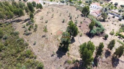 Terreno para Venda em Belver