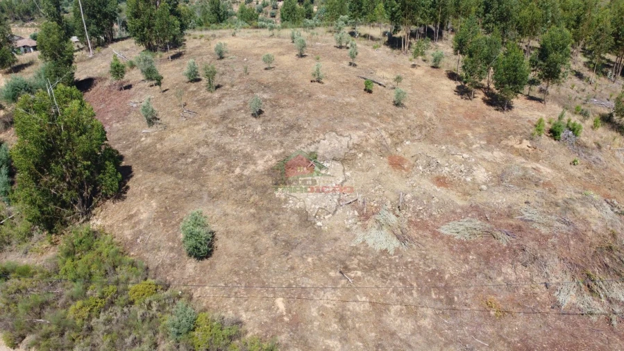 Terreno para Venda em Belver Foto 2