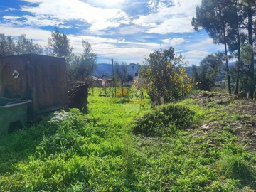 Quinta T0 para Venda em Varzea dos Cavaleiros