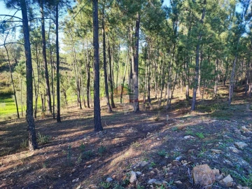 Quinta T0 para Venda em Varzea dos Cavaleiros