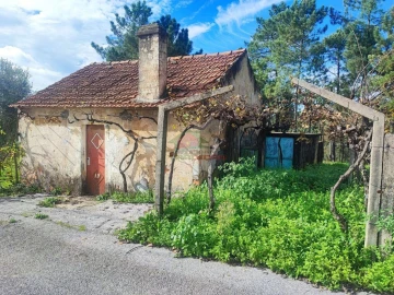 Quinta T0 para Venda em Varzea dos Cavaleiros