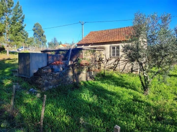 Quinta T0 para Venda em Varzea dos Cavaleiros