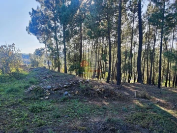 Quinta T0 para Venda em Varzea dos Cavaleiros