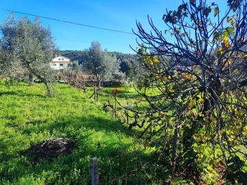 Quinta T0 para Venda em Varzea dos Cavaleiros