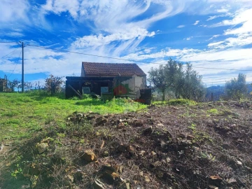 Quinta T0 para Venda em Varzea dos Cavaleiros