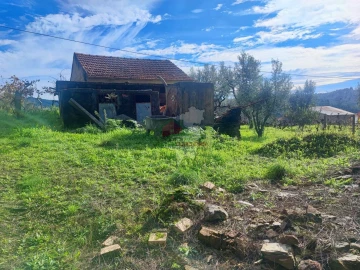 Quinta T0 para Venda em Varzea dos Cavaleiros