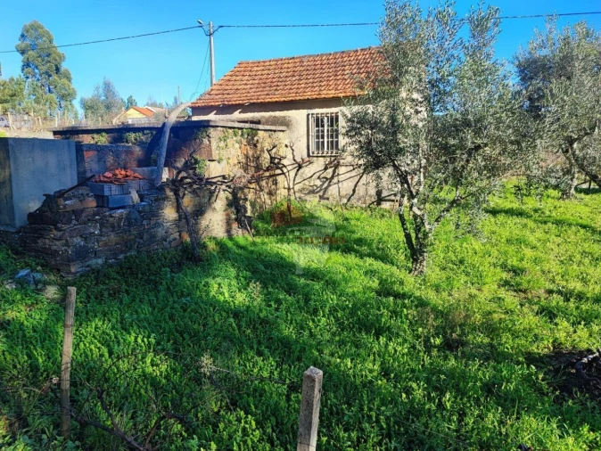 Quinta T0 para Venda em Varzea dos Cavaleiros Foto 13