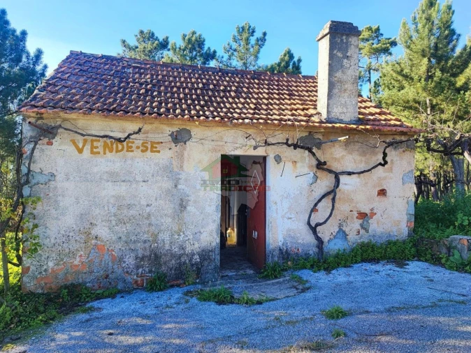 Quinta T0 para Venda em Varzea dos Cavaleiros Foto 6