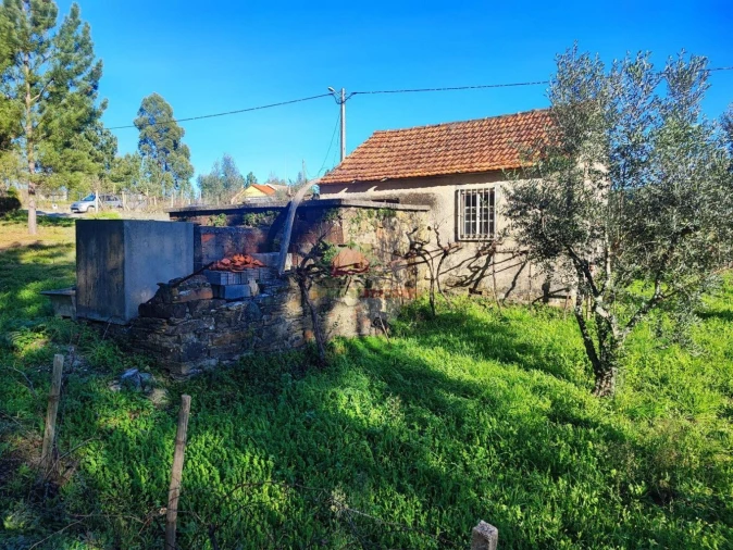 Quinta T0 para Venda em Varzea dos Cavaleiros Foto 5