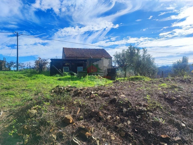 Quinta T0 para Venda em Varzea dos Cavaleiros Foto 15