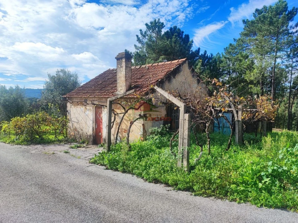 Quinta T0 para Venda em Varzea dos Cavaleiros Foto 1